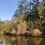Brunswick River