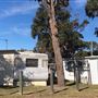 Mobile Homes / Trailer Parks / Caravan Parks - Cudmirrah