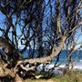 Berrara Beaches