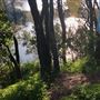 Berrara Creek - Conjola National Park