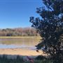 Berrara Creek - Conjola National Park