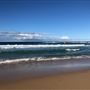 Swan Lake - Swanhaven