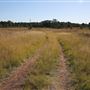 Bungarribee Park  - Western Sydney Parklands