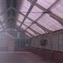 The Palm House - Royal Botanic Garden Sydney