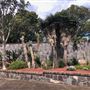 Royal Botanic Garden Sydney