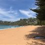 Whale Beach
