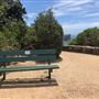 Bilgola Beach