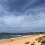 Narrabeen & North Narrabeen - Beaches & Lakes