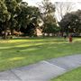 Civic Park Newcastle