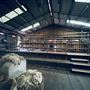 Tobruk Sheep Station - Shearing Shed & Event Venue