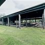 Tobruk Sheep Station - Cottages & surrounds