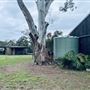Tobruk Sheep Station - Cottages & surrounds