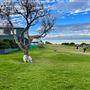 Dover Heights - Coastline @ Raleigh & Rodney Reserves