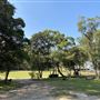 Clarkes Point Reserve
