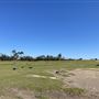 Darkes Forest Ranch