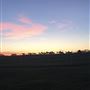 Darkes Forest Ranch