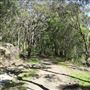 Darkes Forest Ranch