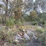 Bungonia National Park