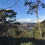Hargraves Lookout