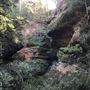 Centennial Glen Walking Track