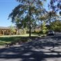 St Ives - Torokina Avenue streetscape