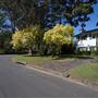 St Ives - Torokina Avenue streetscape