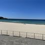Bondi Beach