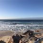 Bondi Beach