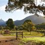 Mt Warning Estate