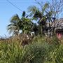 Nambucca Heads