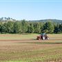 Tocal Farm