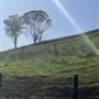 Sugarloaf Farm at Pheasants Nest