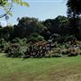 Vaucluse House