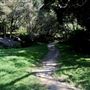 Vaucluse House