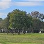Menangle