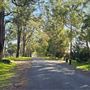 Wilton
