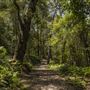 Glenworth Valley Wilderness Adventures