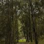 Glenworth Valley Wilderness Adventures