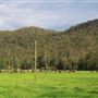 Glenworth Valley Wilderness Adventures