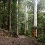 Glenworth Valley Wilderness Adventures