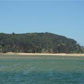 Bermagui