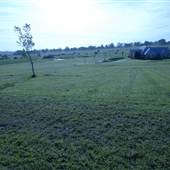 Rural Camden