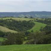 Jamberoo - Saddleback Mountain Road