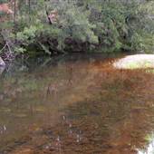 Deua River