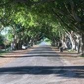 Briemba St, Grafton