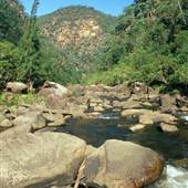Colo River