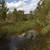 Cox's River at Duddawarra Bridge