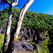 Kwiambal National Park