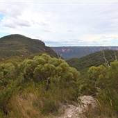 Mt Banks Summit Walk & Picnic Area