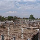 West Wyalong & District Saleyards